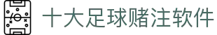 十大足球赌注软件排行榜-十大足球赌注软件的app排行榜
